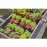 GARDENA 13215 Plug 4.6 mm (3/16") | End Cap for Micro-Drip Supply Pipe & Drip Line (LG1148)