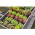GARDENA 13215 Plug 4.6 mm (3/16") | End Cap for Micro-Drip Supply Pipe & Drip Line (LG1148)