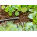 GARDENA 13215 Plug 4.6 mm (3/16") | End Cap for Micro-Drip Supply Pipe & Drip Line (LG1148)