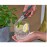 GARDENA 12213-20 GripCut Harvesting Scissors - Stainless Steel Scissors with Gripping Function-LG1000