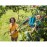 GARDENA 3115-20 combisystem Fruit Picker LG0910