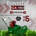 BKR® Petrol Lawnmower Heavy Duty 20" with GX 160 Powered Engine 5 HP Power (4 Stroke)- LG0877