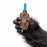 Gorilla Original Glue Strong and Versatile Adhesive 8 oz Brown HM0523