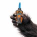 Gorilla Original Glue Strong and Versatile Adhesive 8 oz Brown HM0523
