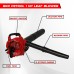 BKR 3-in-1 Leaf Blower, Mulcher & Vacuum | 2 Stroke Petrol Engine, 1 HP Power Comes with 6 Months Manufacturer Warranty | Made for Professionals- LG0634