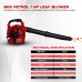 BKR 3-in-1 Leaf Blower, Mulcher & Vacuum | 2 Stroke Petrol Engine, 1 HP Power Comes with 6 Months Manufacturer Warranty | Made for Professionals- LG0634