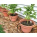 BKR® Drip Irrigation System (10 Pcs) for Small Pots LG0652