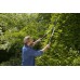 GARDENA 12304-20 Hedge Clippers TeleCut LG0905