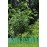 GARDENA 540-20 Flower Bed Edging Fence, Green, 7.9 inches (20 cm)