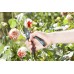 GARDENA 8904 Two step adjustable Bypass Pruners with safety lock