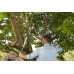 Gardena 12008-20 EnergyCut 750 A Pruning Lopper