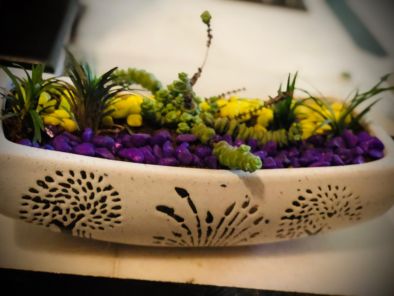 BKR® Boat Shaped Ceramic Pot Designed With Planted succulent and 4 Ferns LG0718